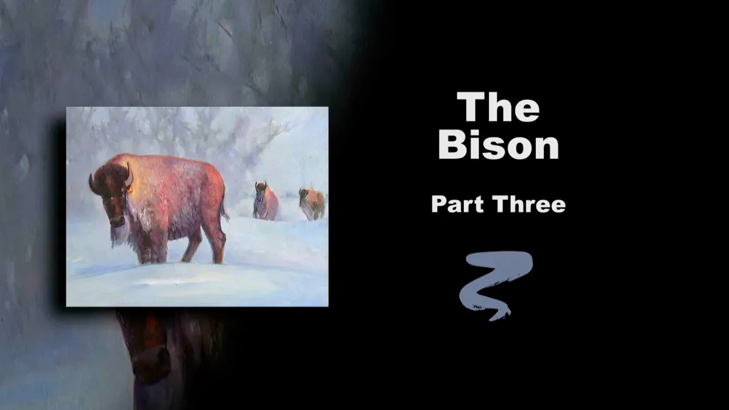 The Bison Part III