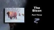 The Bison Part III