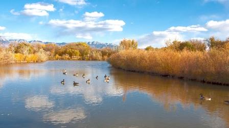 Video thumbnail: Our Land: New Mexico’s Environmental Past, Present and Future Recalibrating ‘normal’ on the Rio Grande
