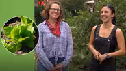 Planting Fall Vegetables: Este Garden