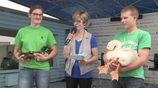 Our Feathery Friends