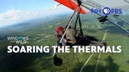 Soaring the Thermals