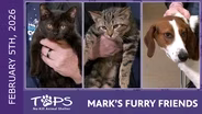 2/5/2026 | Tic, Tac and Merri | Mark's Furry Friends