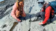 From Ship to Shore: Fossil Hunting on Sucia Island with Northwest Navigation