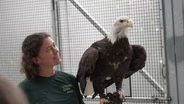 Raptor Rehab