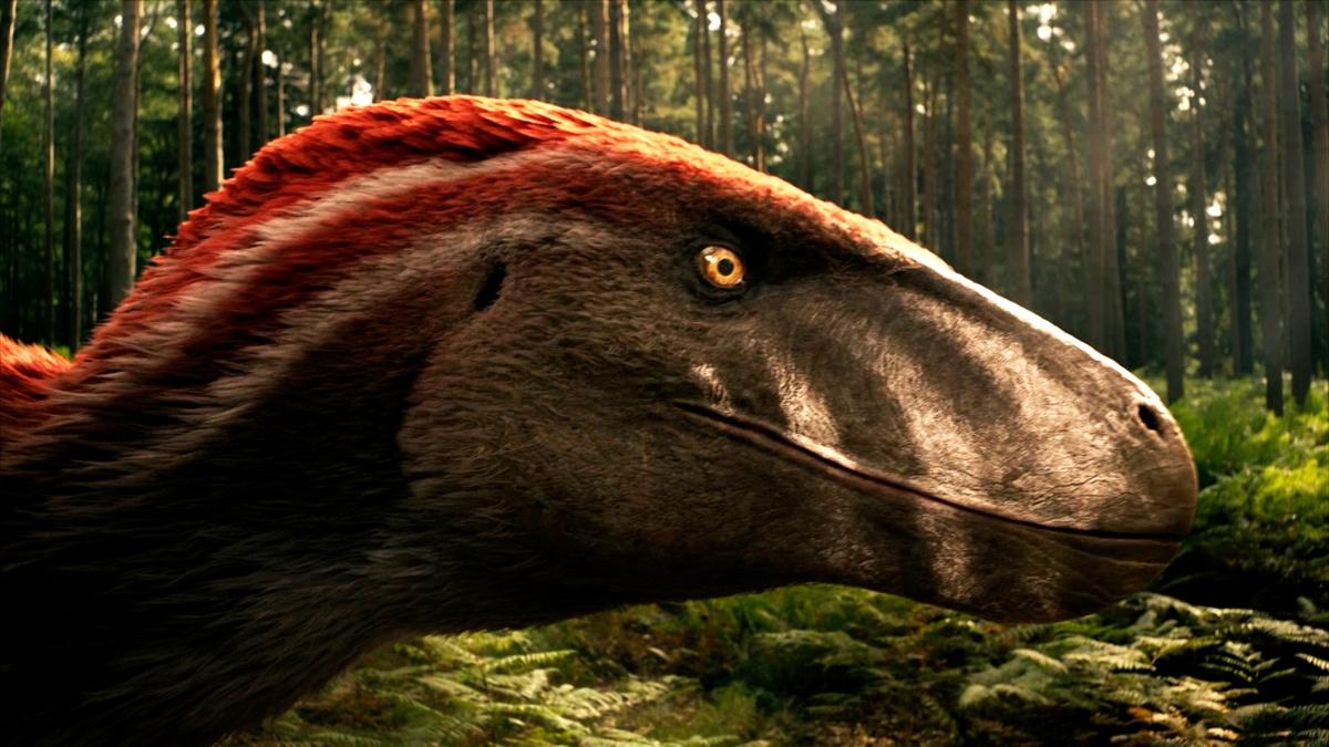 Utahraptors Hunting in the Forest | Walking with Dinosaurs | THIRTEEN ...