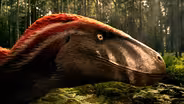 Utahraptors Hunting in the Forest