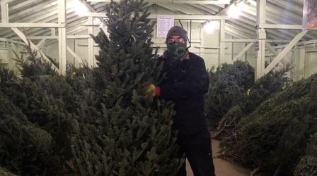 Video thumbnail: The Slice Christmas Trees in Duluth with Farmer Doug