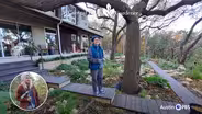 Dry Creek Hillside Design: Clay Soil and Shade