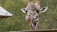 Lehigh Valley Zoo