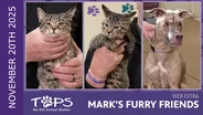 11/20/2025 | Sleepy, Snow White and Tucker | Mark's Furry Friends Extra