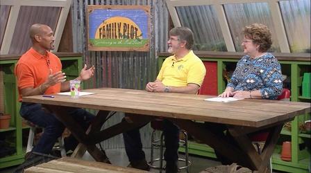 Video thumbnail: The Family Plot Removing Bees from Homes & Composting