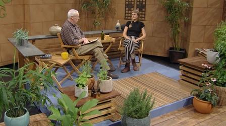Video thumbnail: Central Texas Gardener Grow Plants that Heal