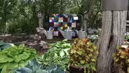 Tracy Garden and Quilt Tour