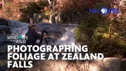 Photographing Foliage at Zealand Falls