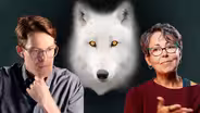 The Argument for De-Extinction: Explained