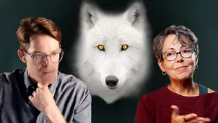 The Argument for De-Extinction: Explained