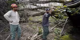 Volunteers restore Appalachian Trail after Hurricane Helene