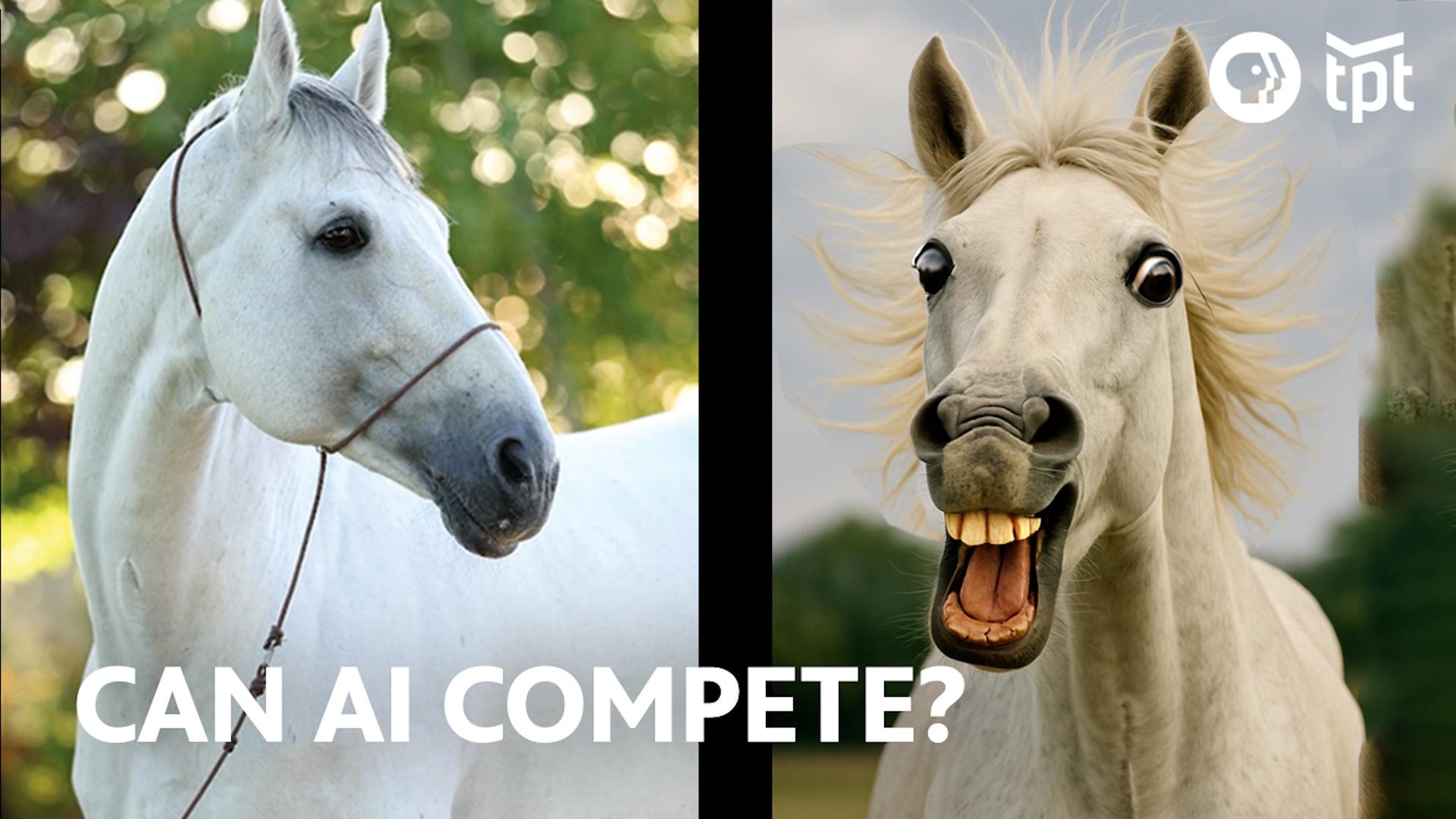 How Horse Photos Come to Life