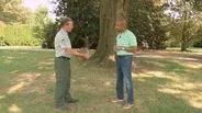 Tree Physiology & Problem Weeds