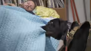 Training a Service Dog