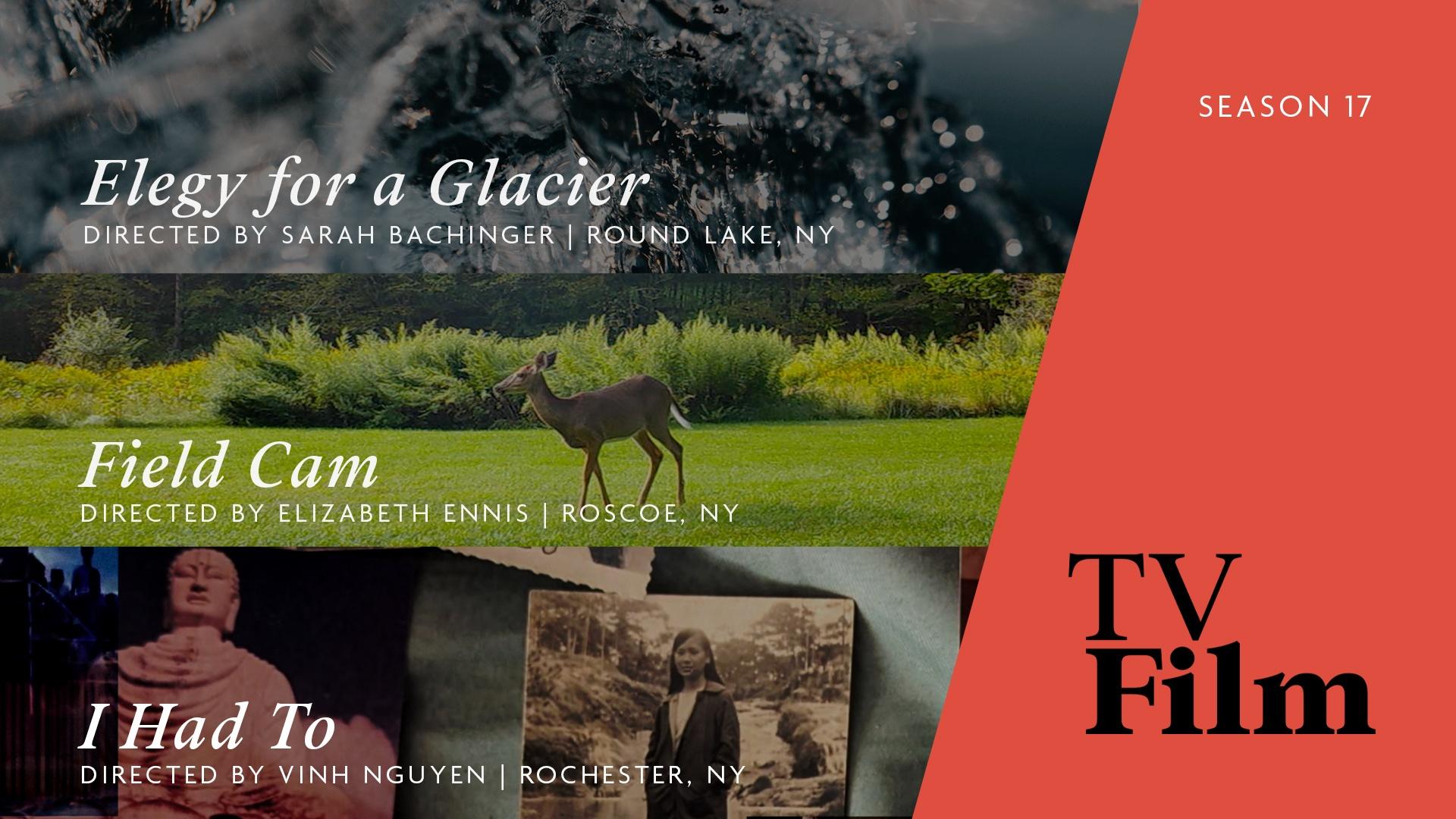 Join Jermaine Wells to watch the shorts "Elegy for a Glacier," "Field Cam" & "I Had To."