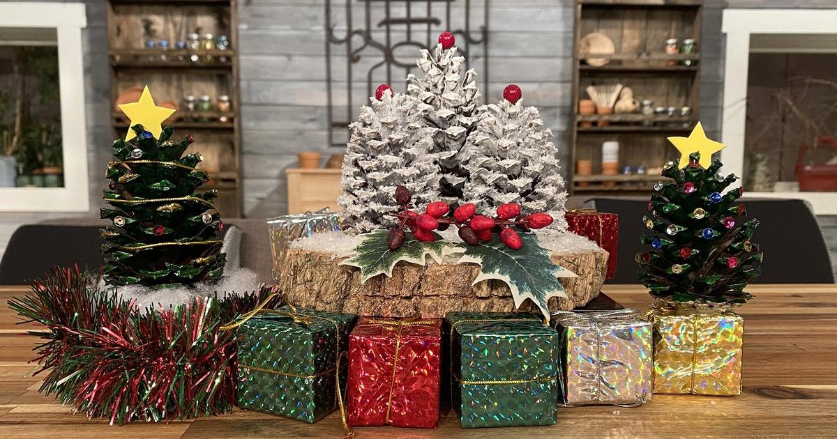 Making It Grow Holiday Special 2021 Season 2021 Episode 39 PBS