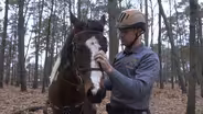 Ocean County mounted unit a benefit to Sheriff's Office