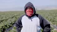 Fruits of Labor