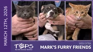 3/12/2026 | Christian, Trail Mix and Australia | Mark's Furry Friends Extra