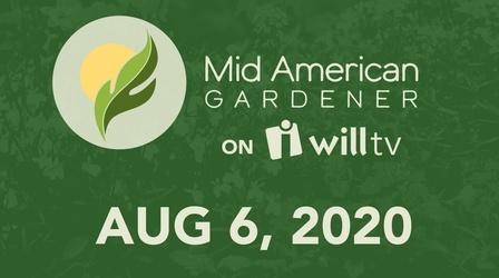 Video thumbnail: Mid-American Gardener August 6, 2020 - Mid-American Gardener