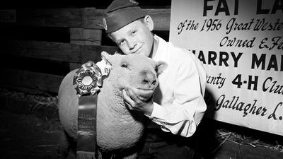 The Legacy of 4-H