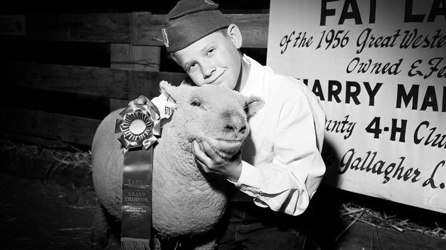 The Legacy of 4-H