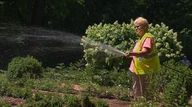 Video thumbnail: Volunteer Gardener Volunteer Gardener 2705