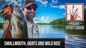 Video thumbnail: Prairie Sportsman Smallmouth, Goats and Wild Rice