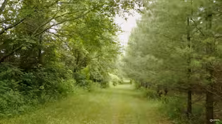 How We Heal - Outdoor Therapy