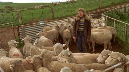 Video thumbnail: McLeod's Daughters Ep. 15: If the Boot Fits...
