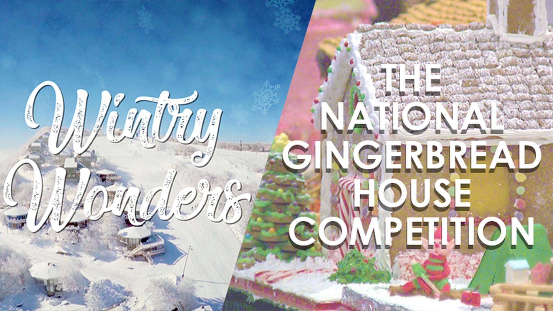 Wintry Wonders The National Gingerbread House Competition North