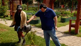 St. Joseph’s Villa Garden