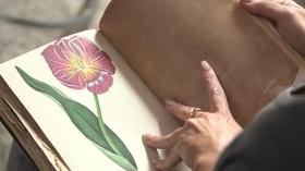 Video thumbnail: Articulate Floriography: Saying It With Flowers
