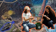 WNY’s Devonian Past | Compact Science