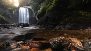 Pisgah National Forest