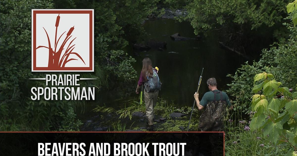 Prairie Sportsman | Beavers & Brook Trout | Season 9 | Episode 5 | PBS