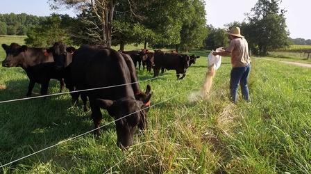 Video thumbnail: ncIMPACT Farmer Mental Health and Suicide Prevention