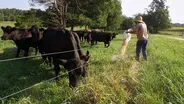 Farmer Mental Health and Suicide Prevention