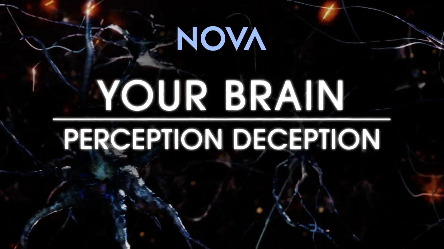 TRAILER | NOVA 5009 | Your Brain | Perception Deception