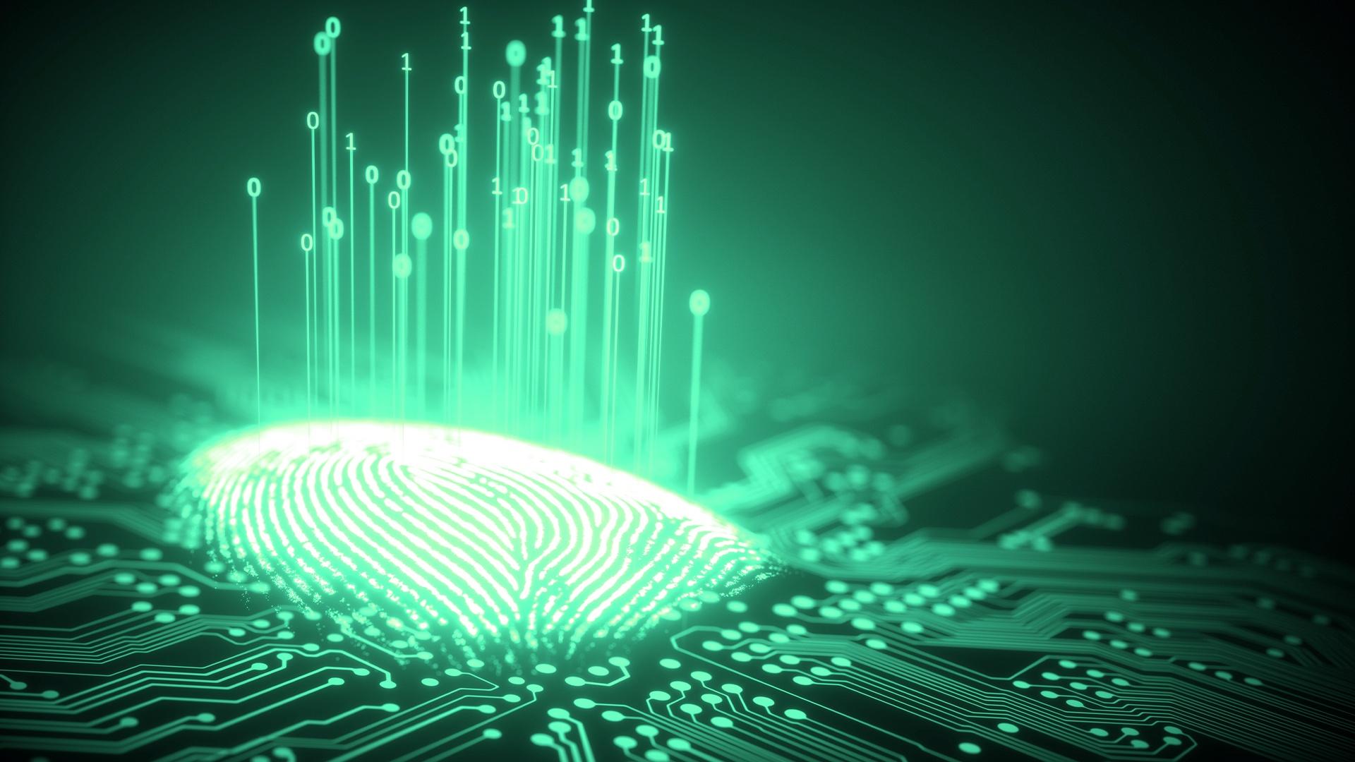 a graphic of a thumbprint with "1"s and "0"s rising from the surface of the print. All is basked in a green glow and on the surface plane of what looks like a circut board
