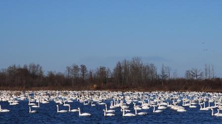 Video thumbnail: Exploring North Carolina Water In NC: Yesterday, Today and Tomorrow: The Rivers