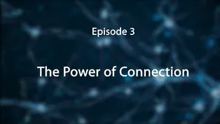 Episode 3: The Power of Connection