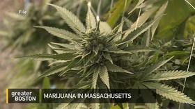 Video thumbnail: Greater Boston August 13, 2019